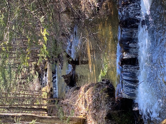 Brook 1
